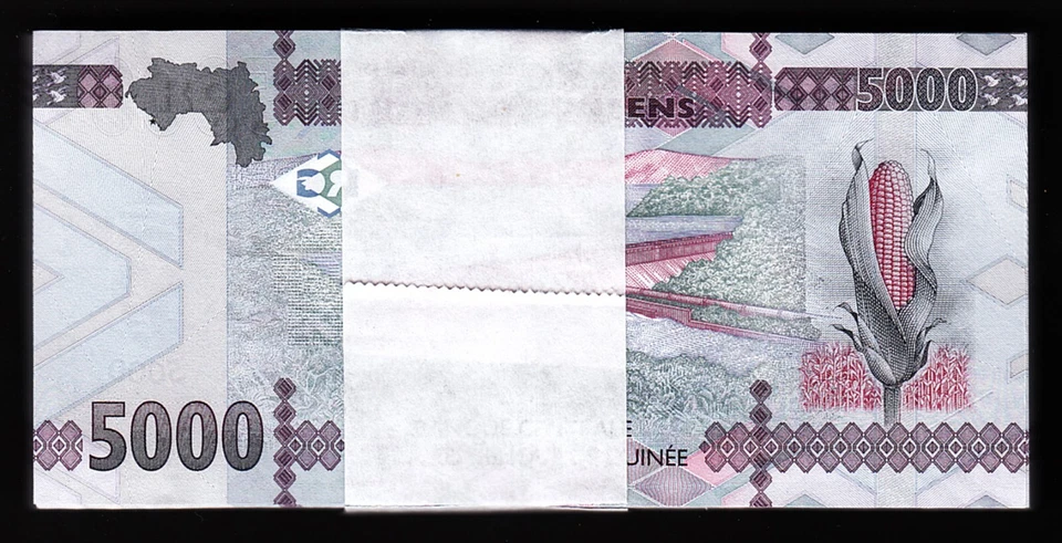 Guinea 5000 Francs 2015, UNC, BUNDLE, Pack of 100 PCS, Consecutive, P-49 - Image 2 of 4