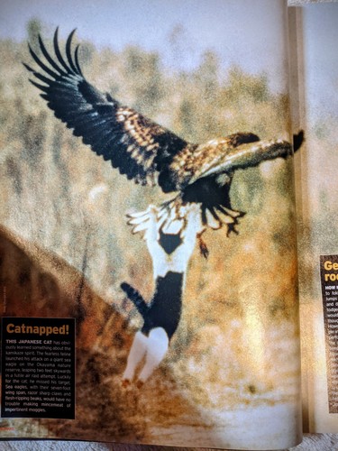 Bizarre Magazine #15 - January 1999 Brit Hot - Picture 4 of 5