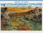 Scott #3802 Arctic Tundra (Nature Series) Sheet of 10 Stamps - MNH