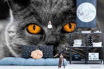 3D Animal Grey Cat Self-adhesive Removable Wallpaper Murals Wall 12