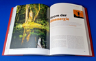 Bild 5 von 7