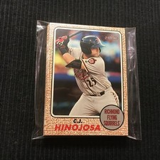 (10) 2017 TOPPS HERITAGE MINORS #86 C J HINOJOSA LOT  RICHMOND FLYING SQUIRRELS