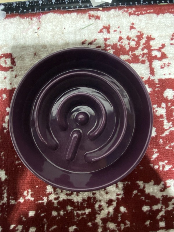 Le Tauci Purple Maze Pet Bowl Ceramic
