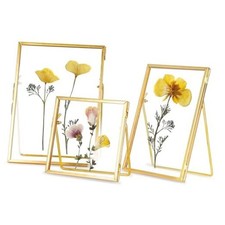 Glass Frame for Pressed Flowers Handmade, Double Glass Floating Picture Gold