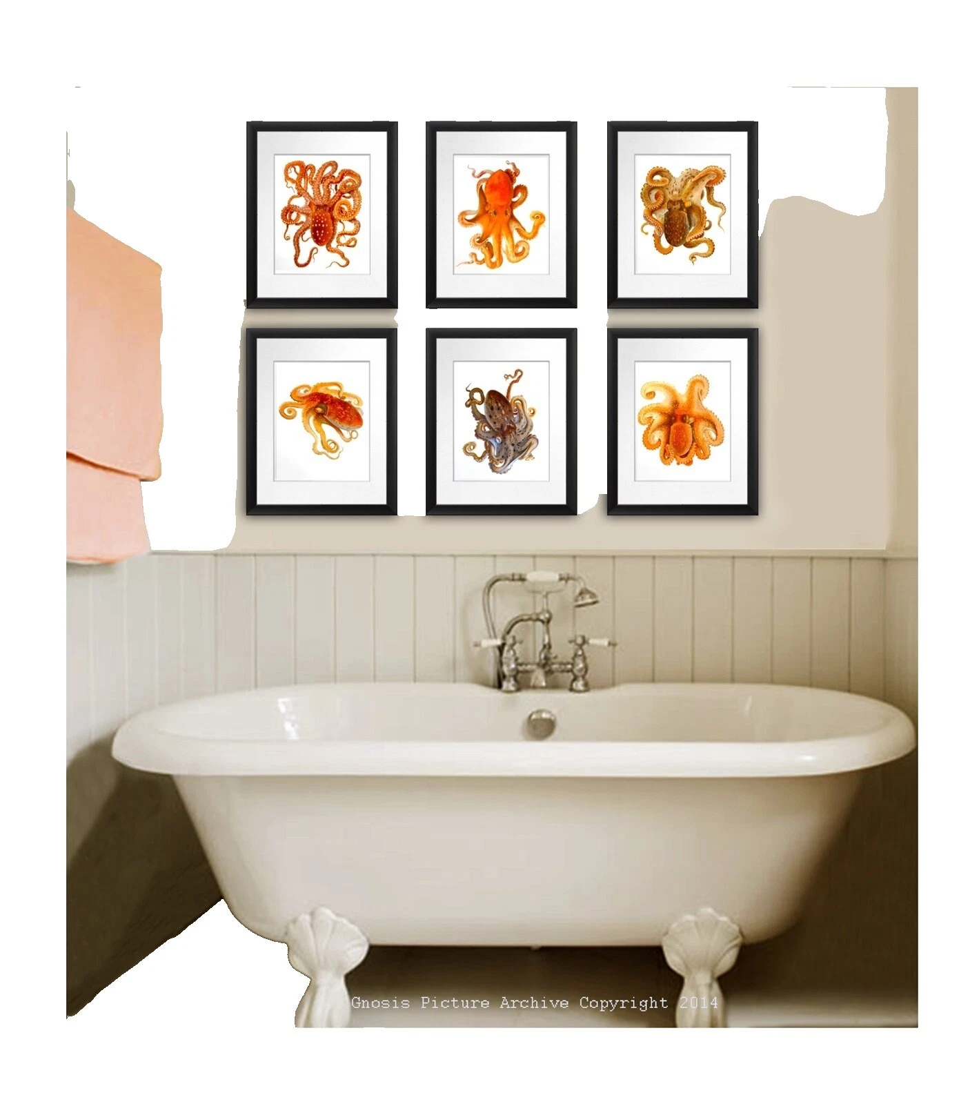 Realismo Animais Home Décor Pôsteres e Gravuras