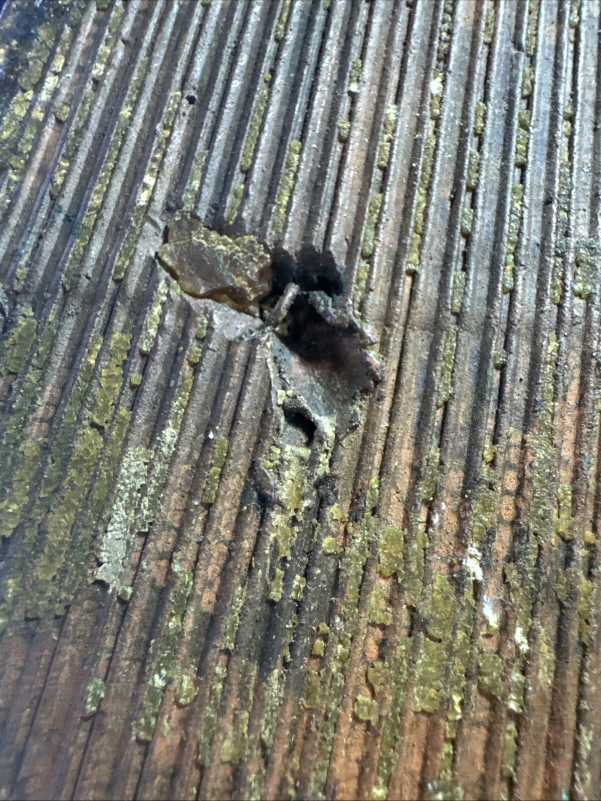 Picture 13 of 18