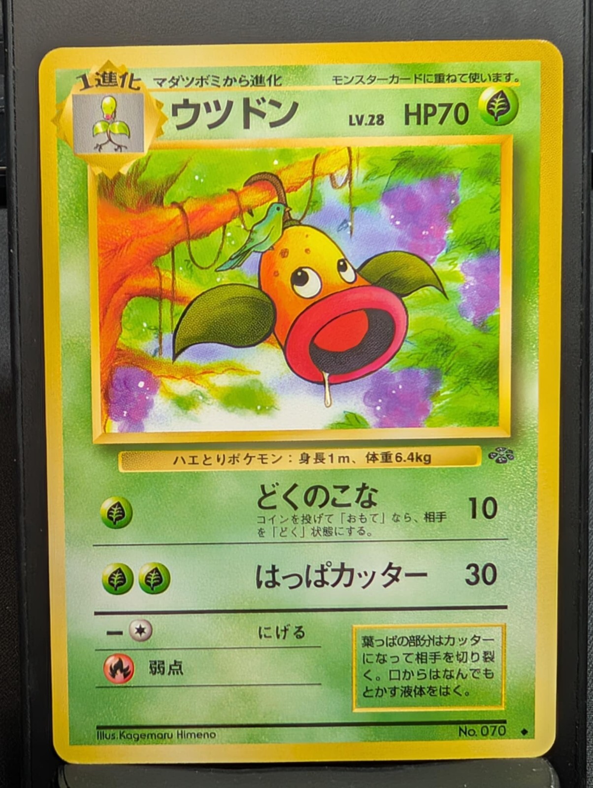 Weepinbell No. 070 Uncommon Jungle Pokemon Japanese NM