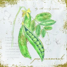 Ceramic Backsplash Tile Mural Fruit Kitchen/Bathroom - Garden Treasures X