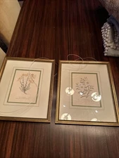 Pair of  Pierre Deux Framed W. King Ambler Botanical Prints Vintage