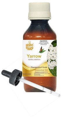 Levenmooi YARROW (Achillea Millefolium ) Pure & Natural Essential Oil fW371