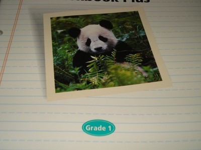 Houghton Mifflin English: Workbook Plus Blackline Masters Grade 1