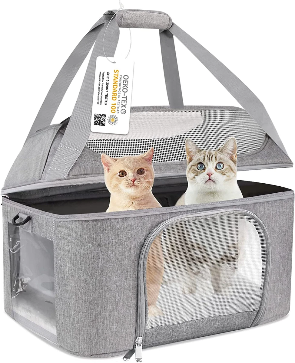 Pet carrier for two cheap cats