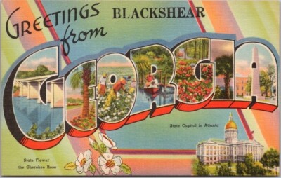 Blackshear, GEORGIA Large Letter Postcard State Capitol & Flower / Tichnor Linen
