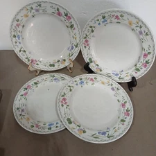 Farberware Stoneware #225 English Garden 10.5" Dinner Plates set of 4 VGUC