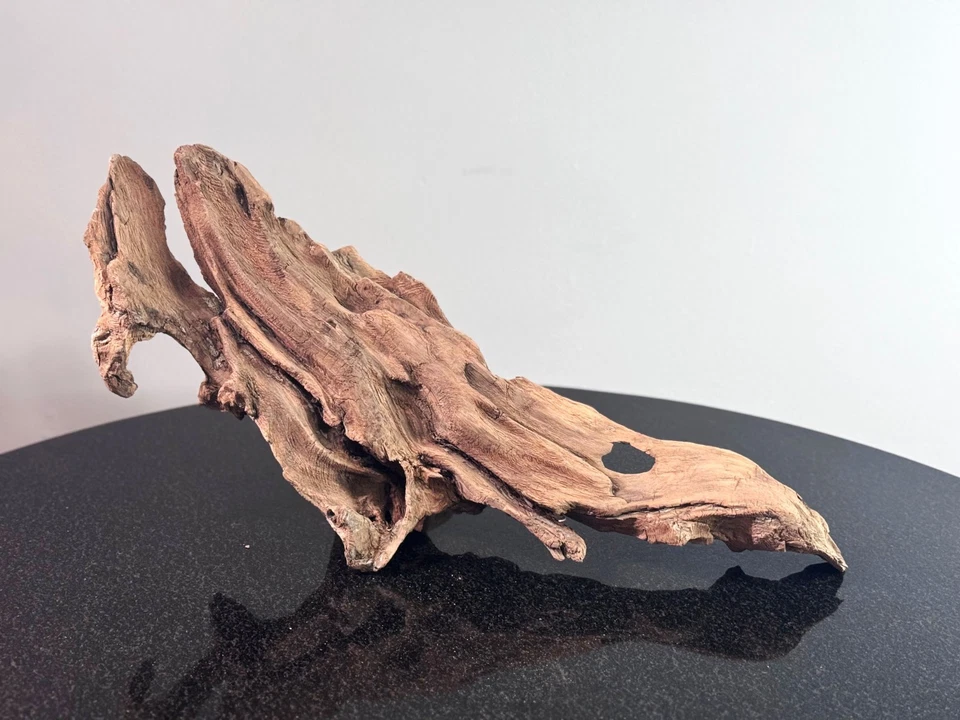 21-дюймовая натуральная коряга — скульптурная изогнутая деревянная деталь — декор аквариума, террариума - Изображение 4 из 4