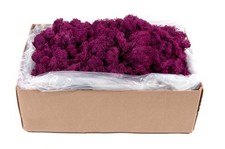 SuperMoss 25139 Reindeer Moss   Soft Appx. 10 lb Bulk Case, Fuchsia