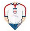 St George Cross Shirt Standard Dimplex Dart Flight