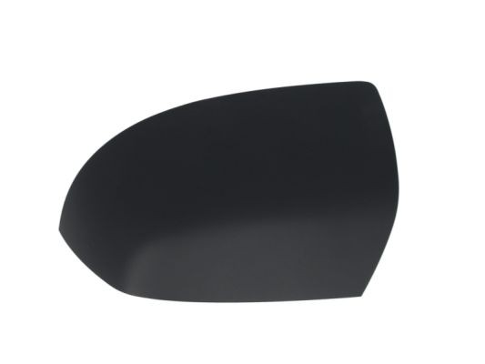 Left BLIC 6103-01-1321378P Housing, exterior mirror for FORD