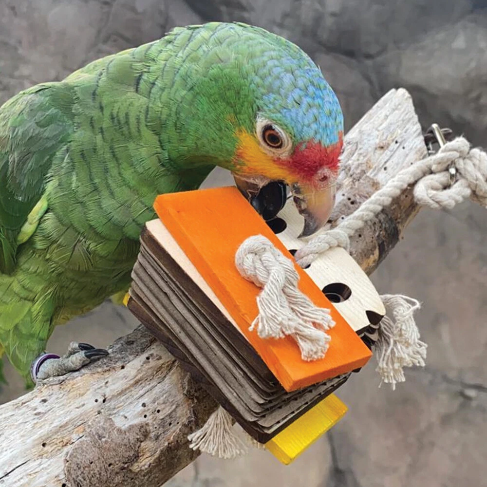 Birdie bread for african clearance greys