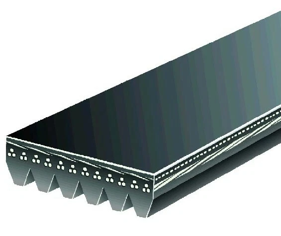 Ремень змеевик Gates для 2000-2001 WORKHORSE P30 V8-5,7 л - Изображение 2 из 4