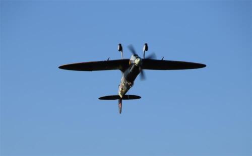 Freewing Flightline Spitfire Mk IX EPO 1200mm PNP mit Brushless Antrieb Servos - Bild 5 von 7
