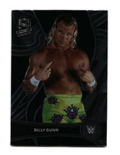 2022 Panini Chronicles WWE Billy Gunn 390
