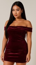 Urban Social Strapless Velvet Mini Dress XL NWT Off Shoulder Party Night Out