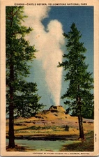 Castle Geyser Yellowstone National Park Haynes c1938 Linen Postcard