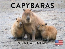 Capybara Calendar 2026 Monthly Wall Calender 12 Month