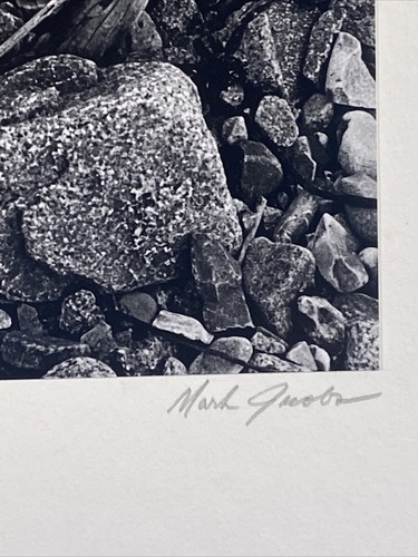 Mark Jacobs SIGNED Matted Photograph Maine USA Tree Roots on Rocky Shore 1970 - 第 4/6 張圖片