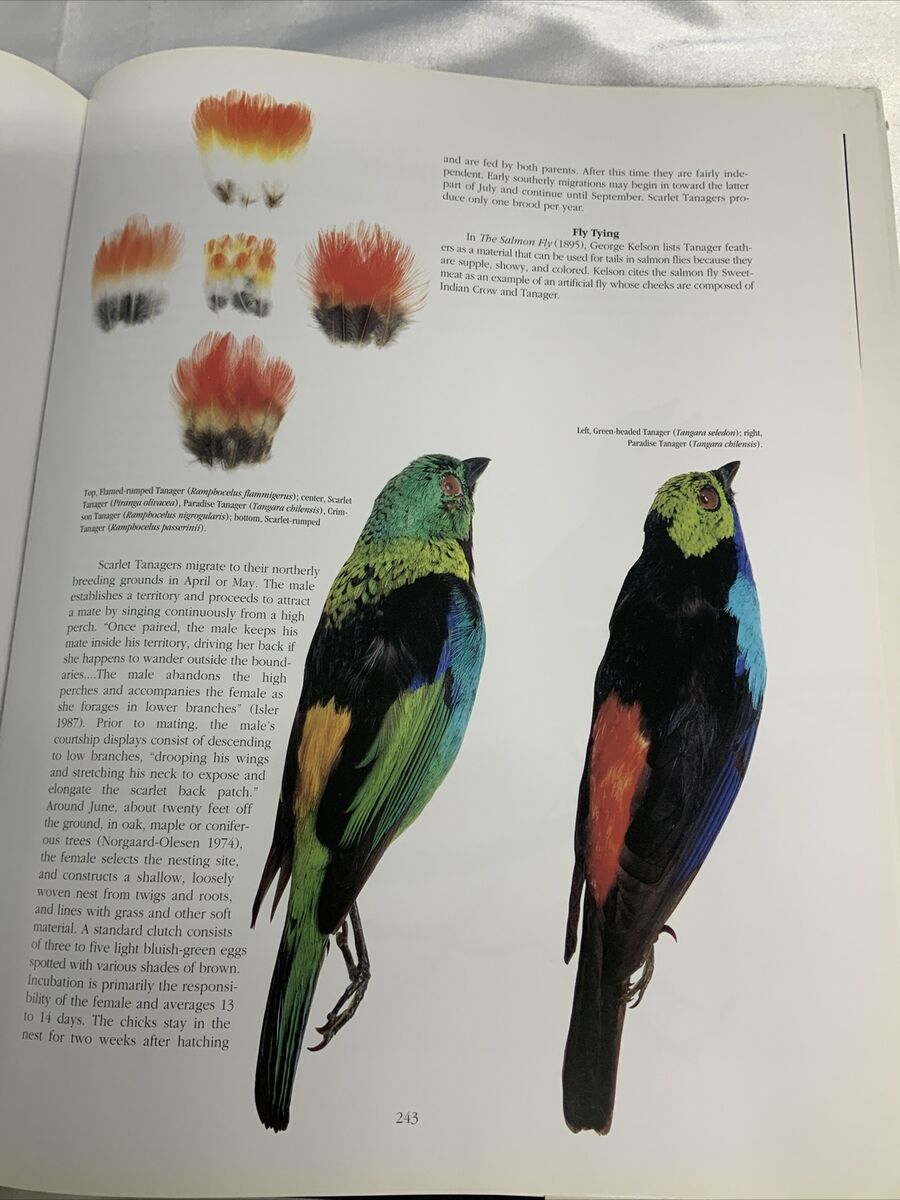 Rare and Unusual Fly Tying Materials: A Natural History V1 Rare and Unusual Fly Tying Materials: A Natural History V1