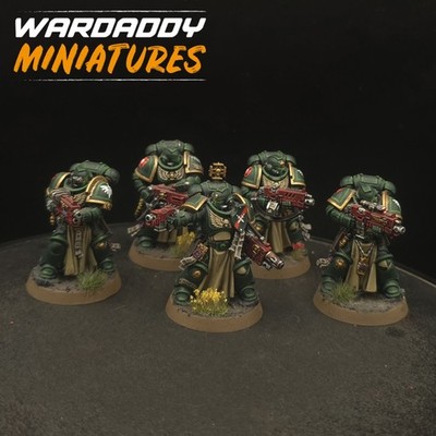 Pro Painted Warhammer 40k Dark Angels Primaris Sternguard Vets ×5 Games Workshop