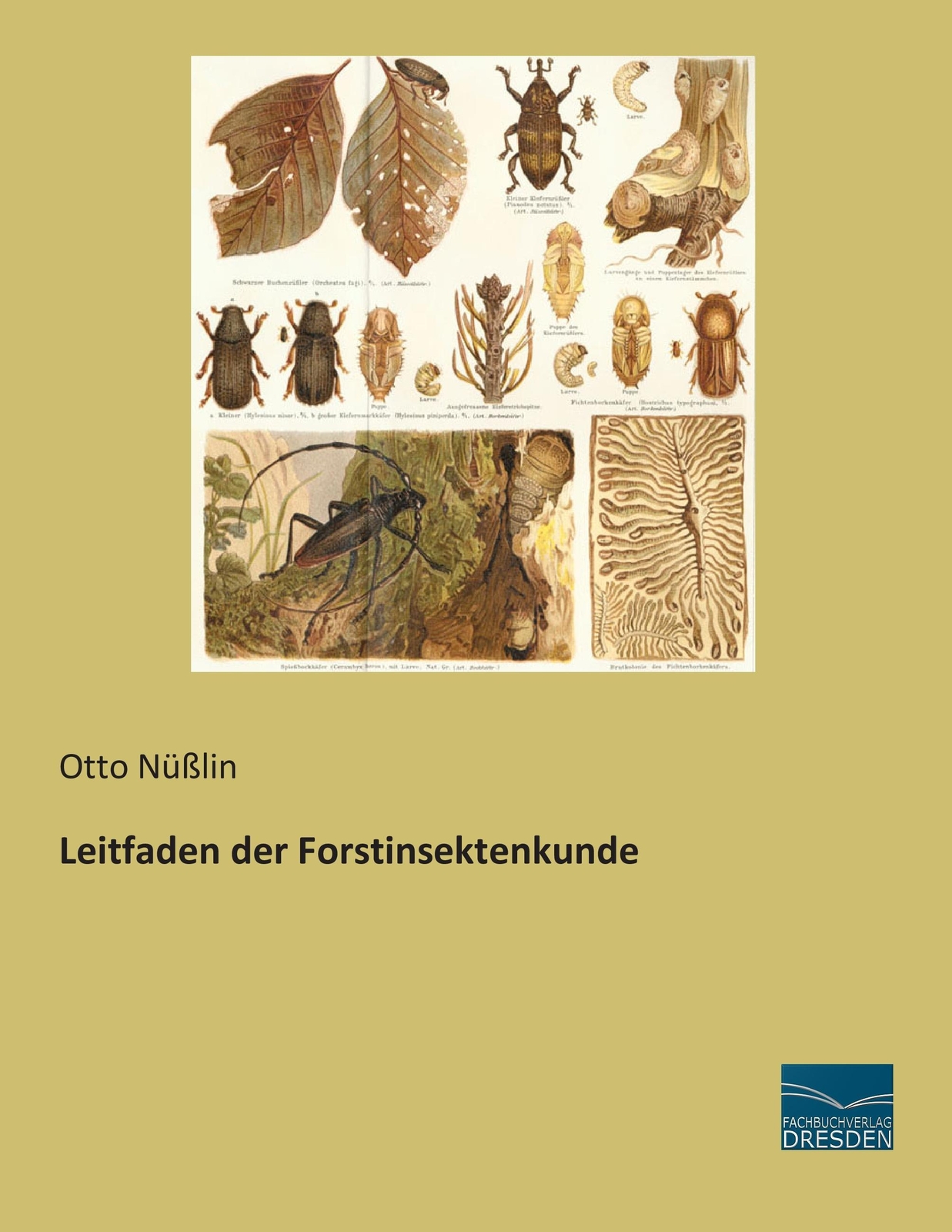 Thumbnail - Leitfaden Der Forstinsektenkunde, Otto Nüßlin
