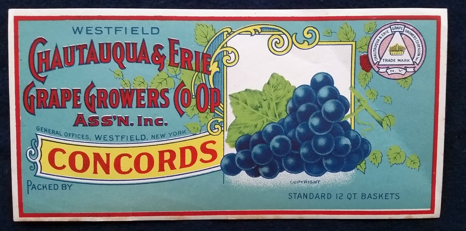 Chautauqua & Erie Fruit Growers Coop Concord Grapes Westfield NY 1940s