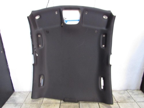 15 16 17 18 19 20 21 DODGE CHARGER HEADLINER PICK UP ONLY