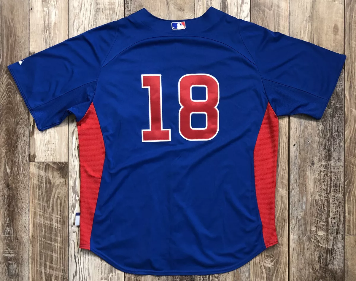 chicago cubs jersey ebay