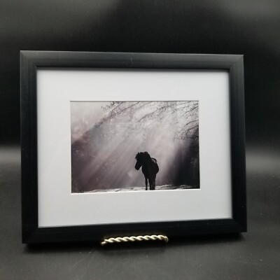 Horse Colt/Filly Shetland Pony Print, Framed & Matted, ''Cold Morning Mist'' Decor