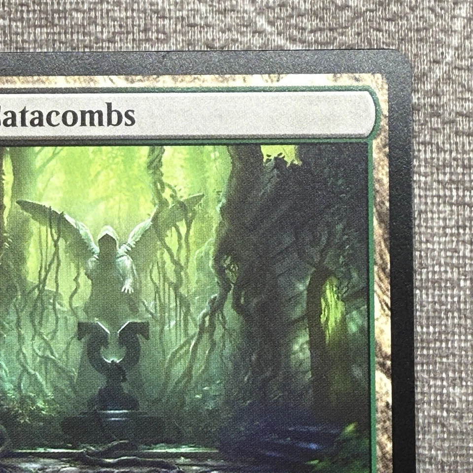 Verdant Catacombs - Secret Lair Series (SLU) #3 NM Non-Foil MTG - Image 4 of 4