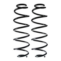 Fahrwerksfedern-Set Hinterachse Schraubenfeder Ø115Mm Spidan FüR U.A. CitroËN C3