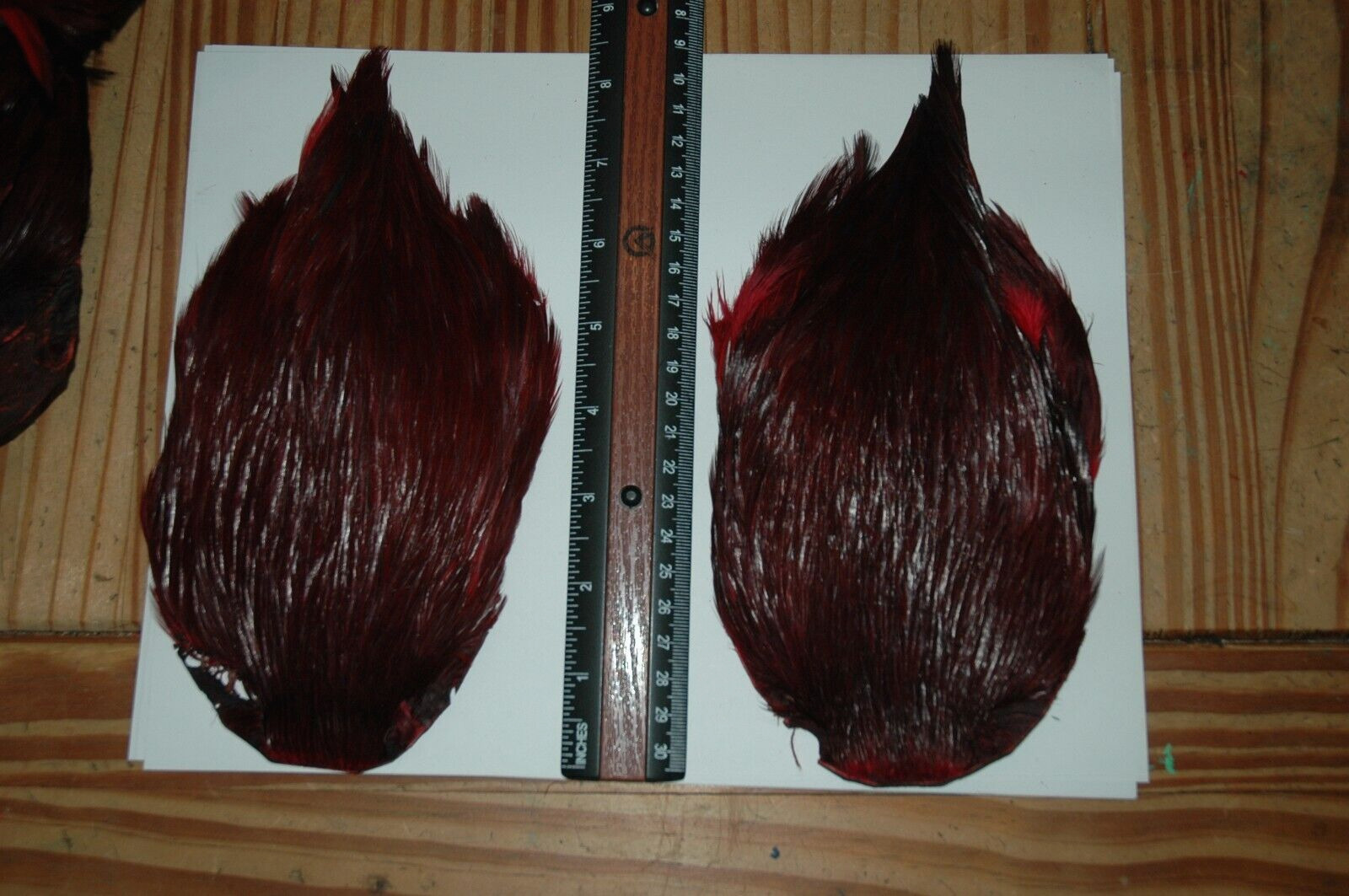 Top AAA Indian Rooster  Neck CLARET BATCH 01