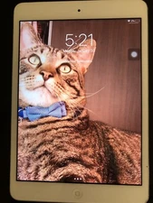 Apple iPad mini 2 16GB, Wi-Fi, 7.9in - Silver (CA)