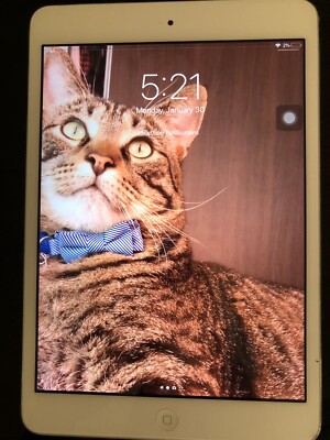 Apple iPad mini 2 16GB, Wi-Fi, 7.9in - Silver (CA)