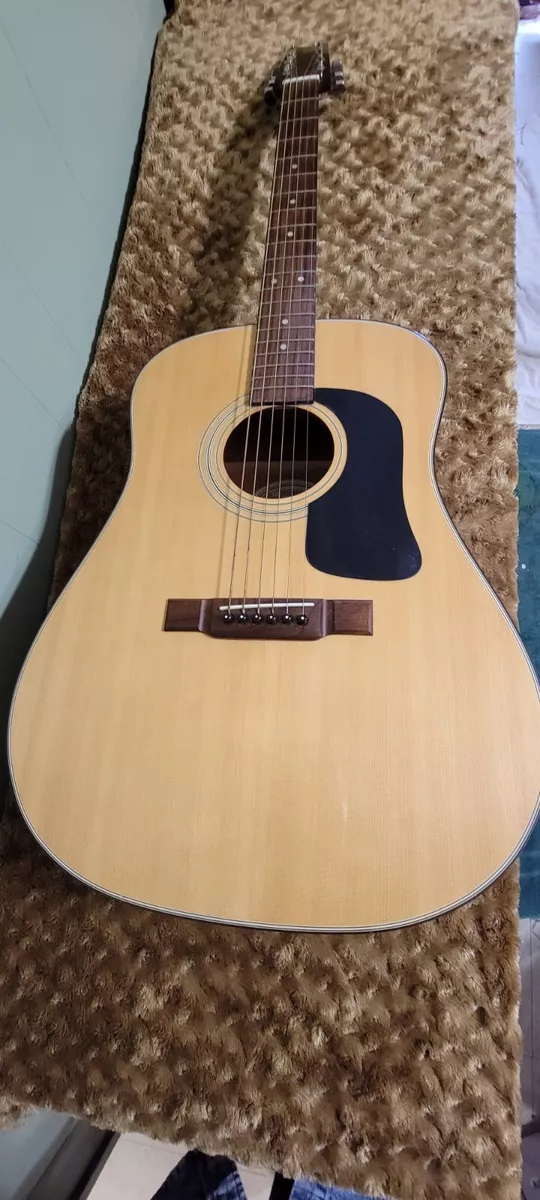 Washburn d10 sale