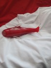 Red Glass Dolphin — photo 7