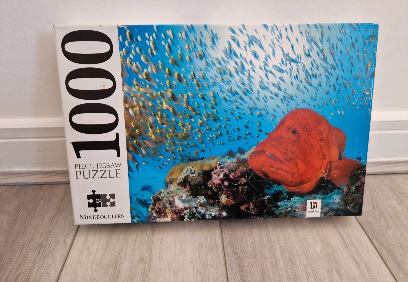 Hinkler Mindbogglers Small Fish & Grouper 1000 Piece Jigsaw Puzzle NewSealed