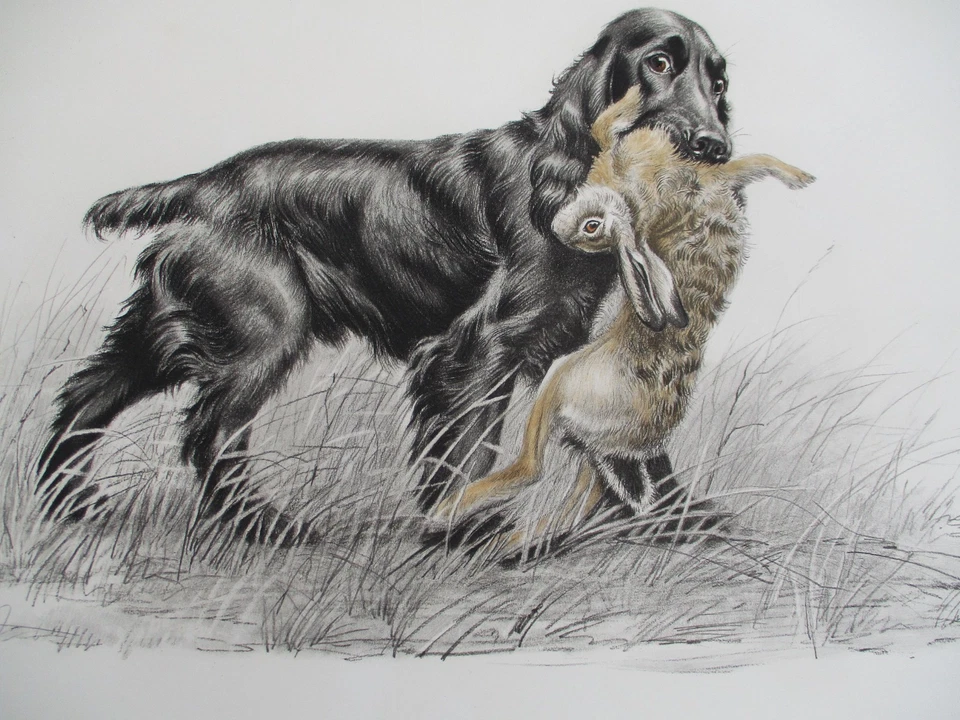 Grande Lithographie Cocker et Lièvre.Léon DANCHIN 1932. Signée n°266/500. Chasse - Photo 3/4