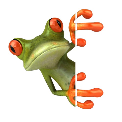 2x Frosch Aufkleber Kröte Frog Sticker Auto Tier Fenster Wandtattoo Bild Deko - Bild 3 von 7