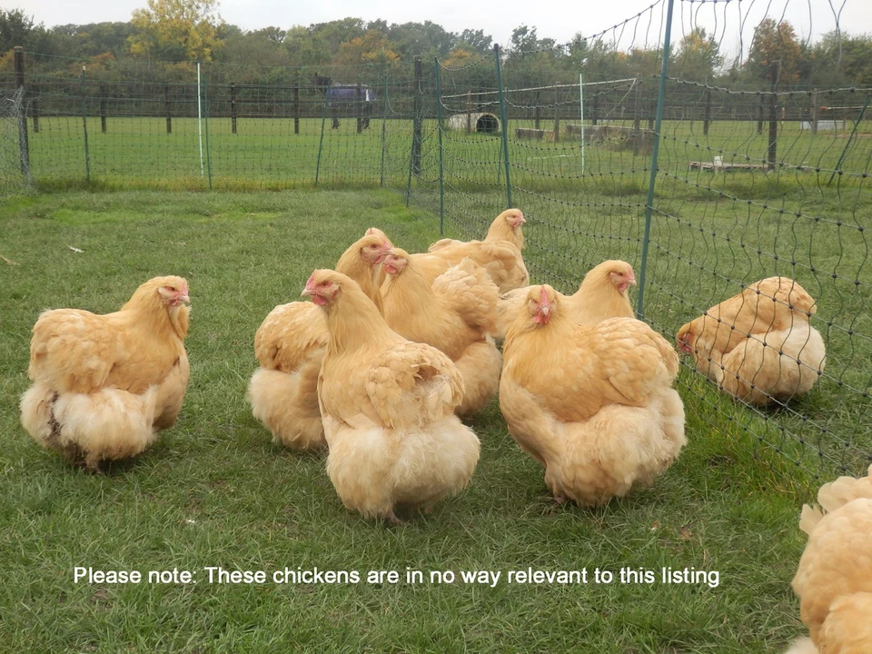 circuitbenders HARMONIC ENGINE - E&MM Harmony Generator clone PCB - modular DIY - Image 4 of 4