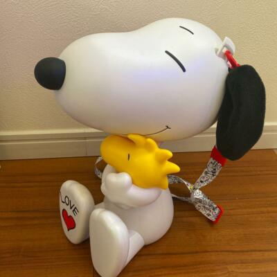 Peanuts Snoopy Popcorn Bucket Usj Ebay Peanuts Snoopy Popcorn Bucket Usj Ebay