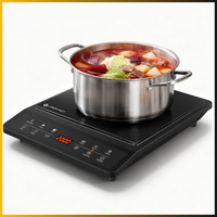 Amzchef Induktionskochfeld 1 Platte, Tragbare Kochplatte, 20 Temperatur